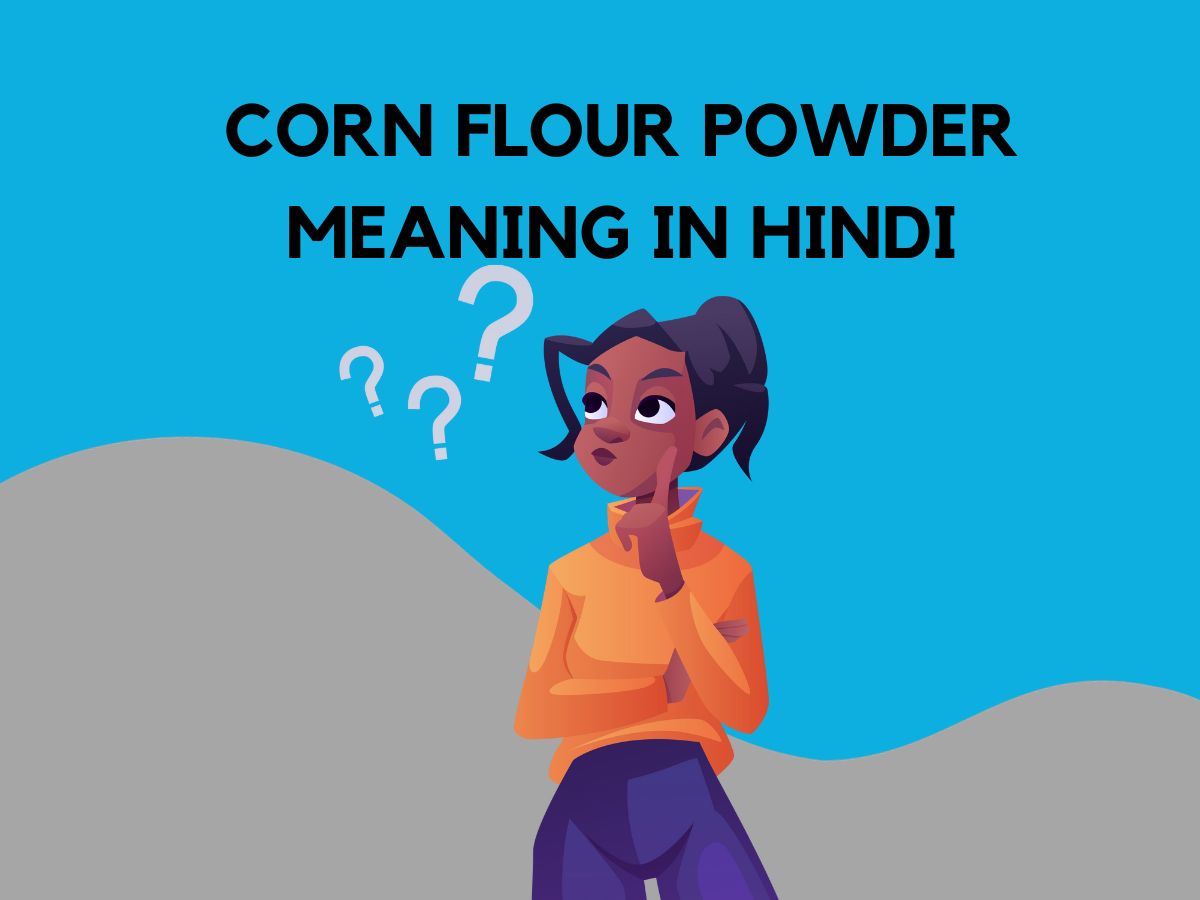 Corn Flour Powder Meaning in Hindi