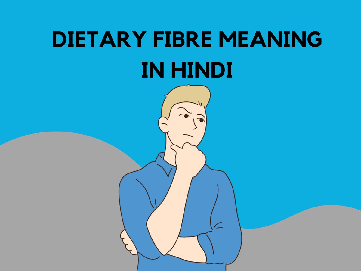 Dietary Fibre Meaning in Hindi
