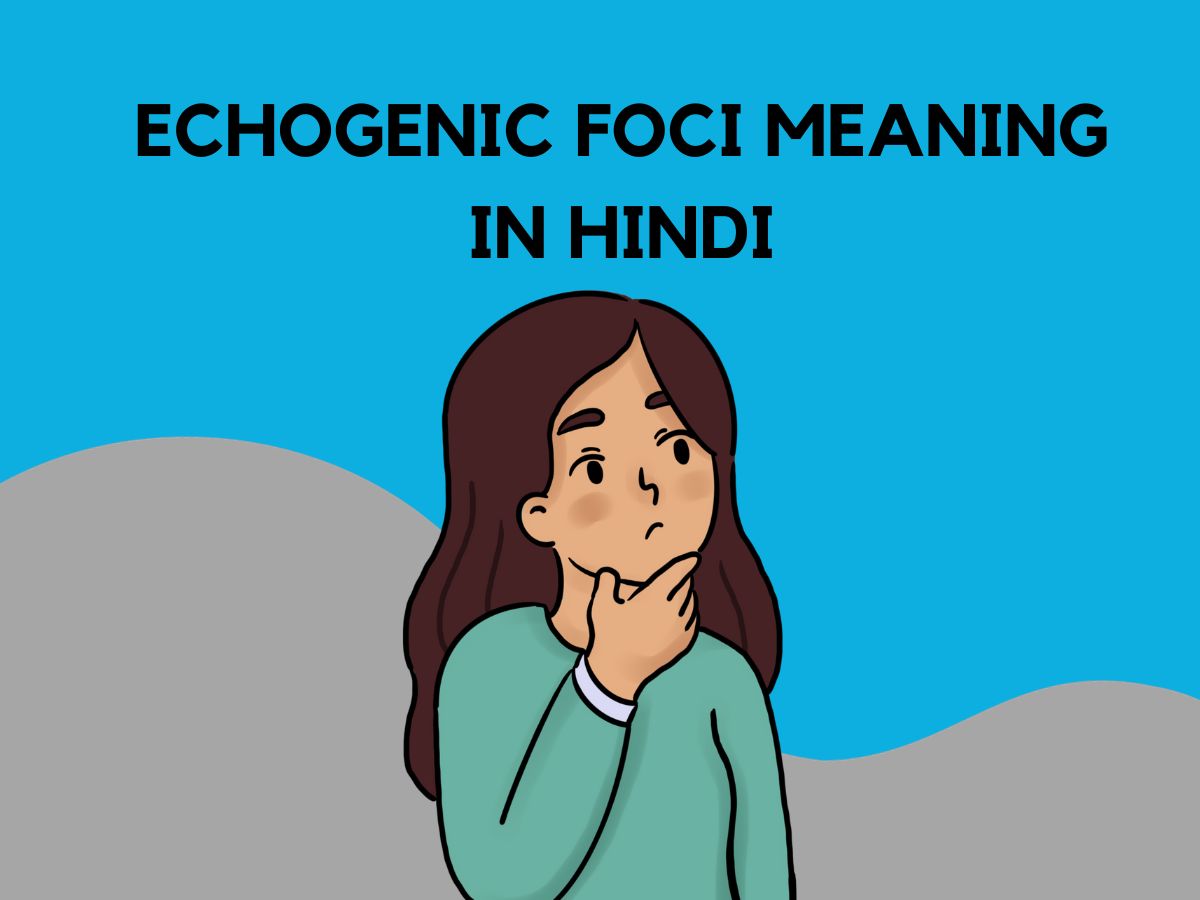 Echogenic Foci Meaning in Hindi