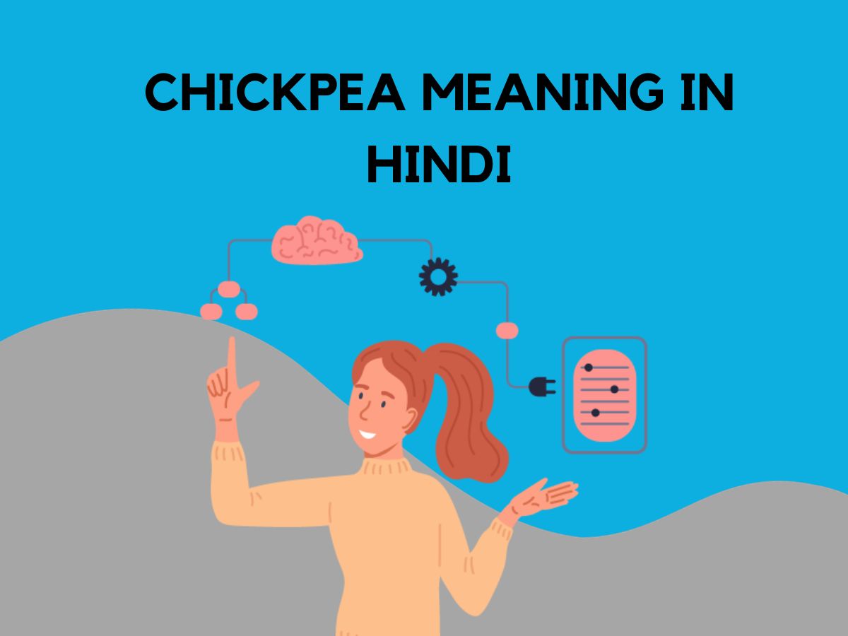 Chickpea Meaning In Hindi