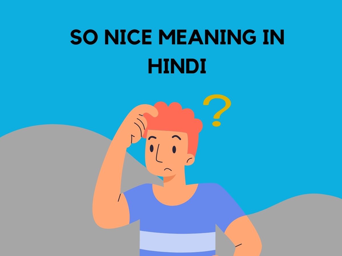 So Nice Meaning In Hindi