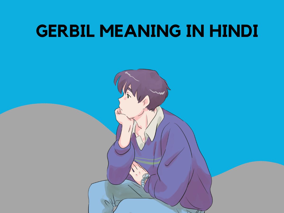 Gerbil Meaning In Hindi