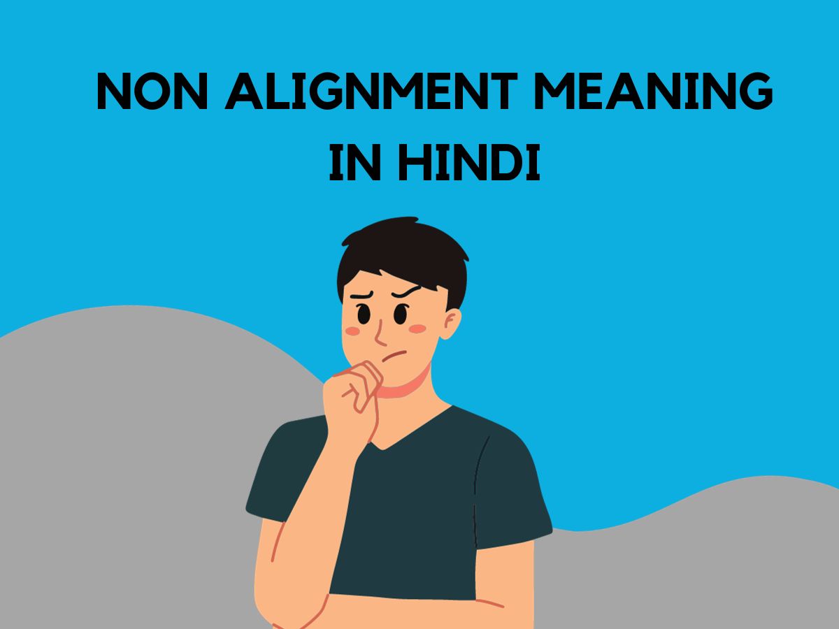 Non Alignment Meaning In Hindi