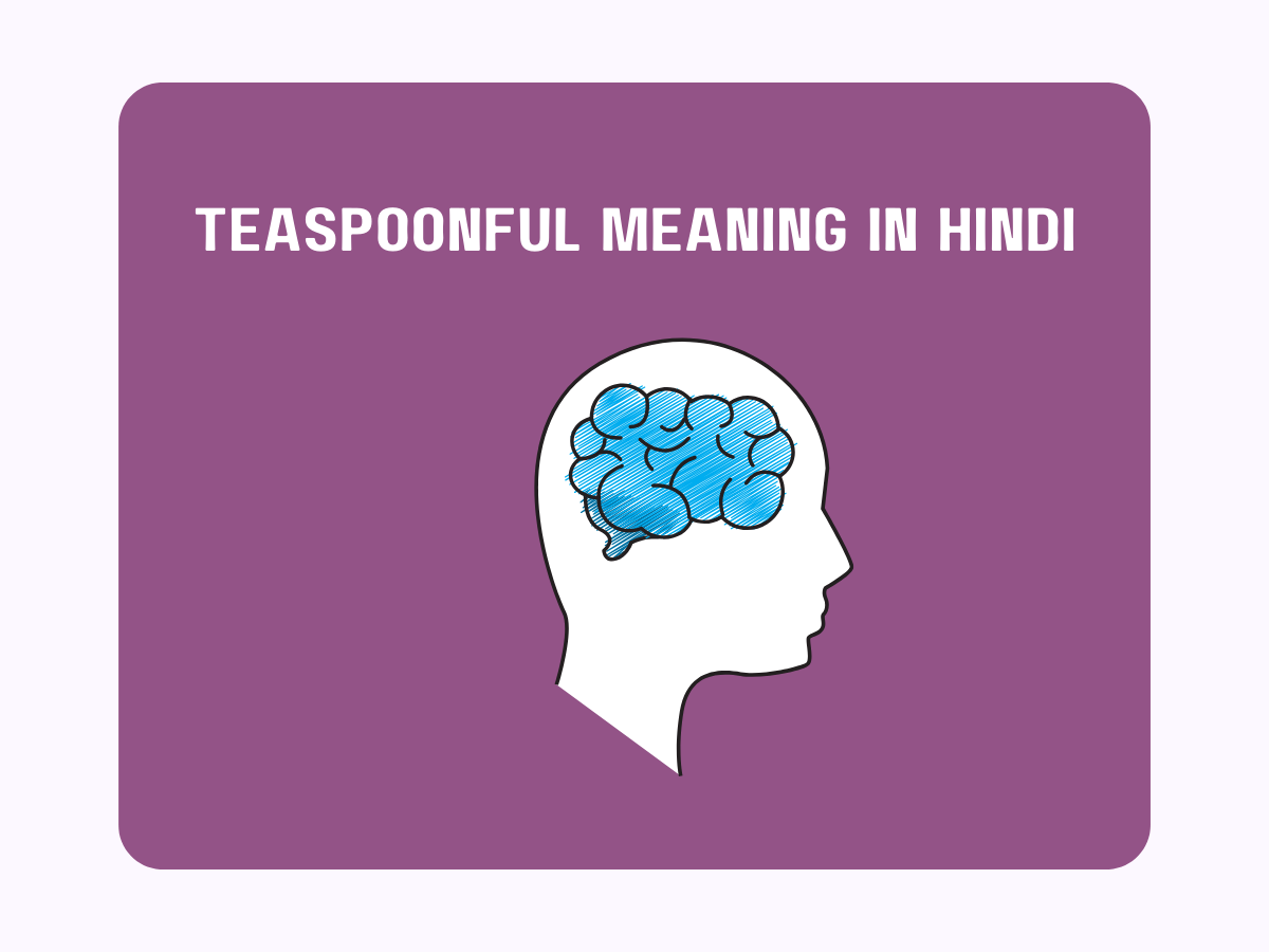 Teaspoonful Meaning in Hindi
